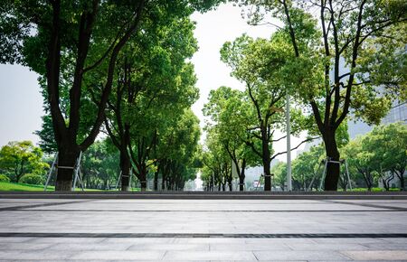 Stone Pathway in the Green Parkの写真素材