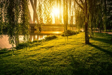 Park in chinaの写真素材