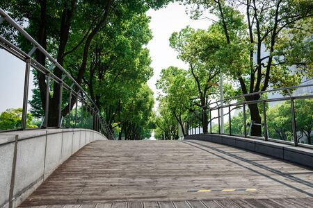 Pathway in the Green Parkの写真素材
