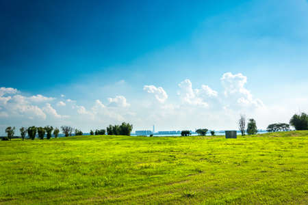 Green meadow under blue sky with cloudsの写真素材