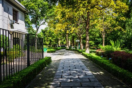 walkway  in the park