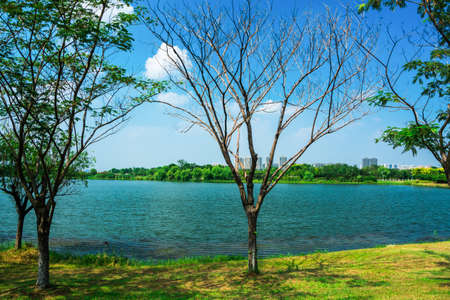 lake at garden with reflection