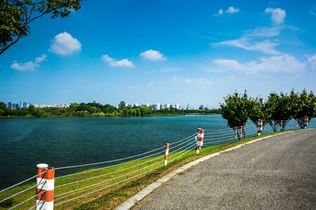 lake garden  scenery