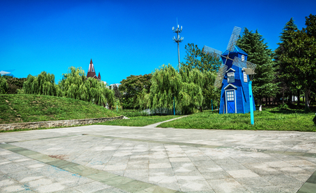 green grass field in big city parkの写真素材