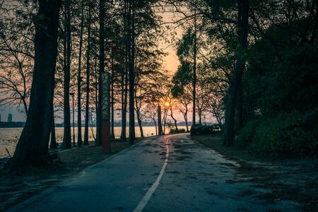 road in Russian forestの写真素材