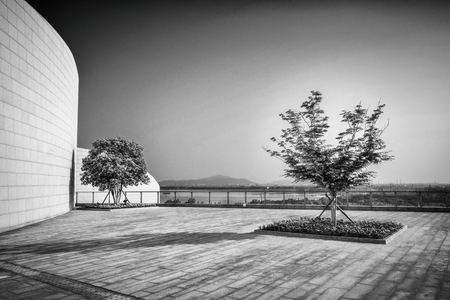 public square with empty road floor in downtownの写真素材
