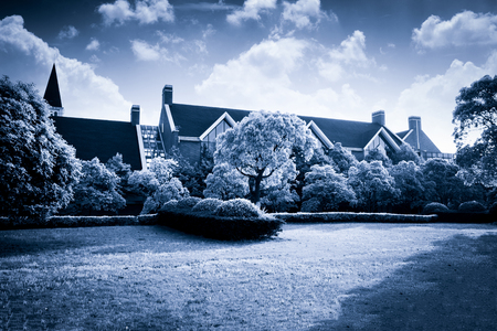 modern house in cement, view from the garden.の写真素材