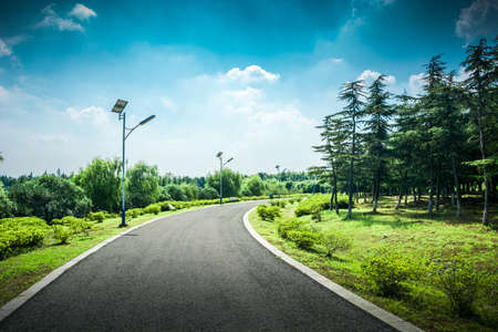 Stone pathway under sunlight in the park.の写真素材