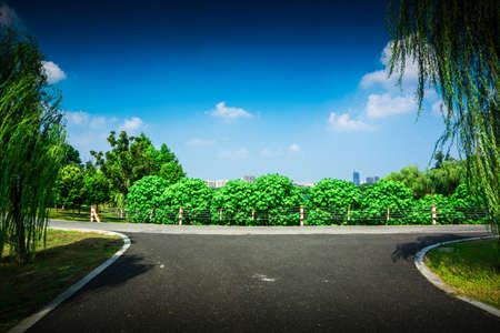 Stone pathway under sunlight in the park.の写真素材