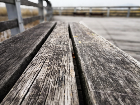 Wooden bench and a path in the parkの写真素材