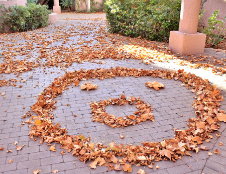 Falling Fall leaves  " Face another Winter " in the deseert southwest sの写真素材