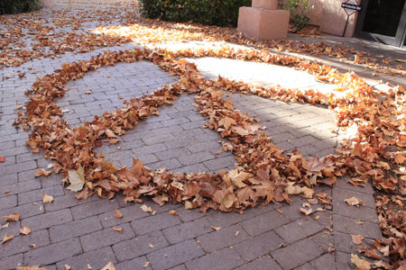 Falling Fall leaves showing hope for peace and love in the coming New Year.の写真素材