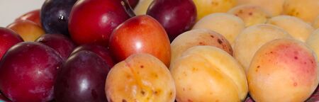 fruit closeup apricot plumの写真素材
