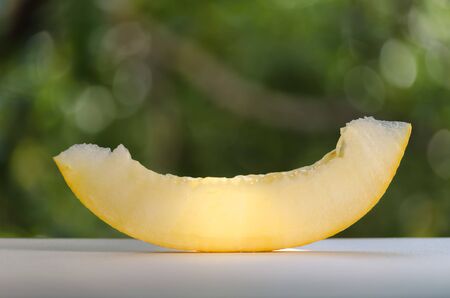delicious melon fruit