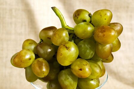 a bunch of juicy yellow grapesの写真素材