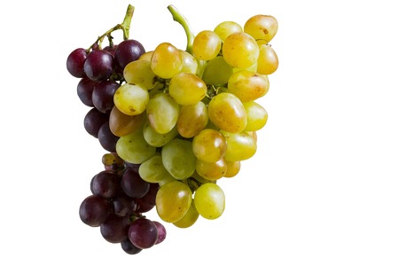 a bunch of white and blue grapes on white backgroundの写真素材