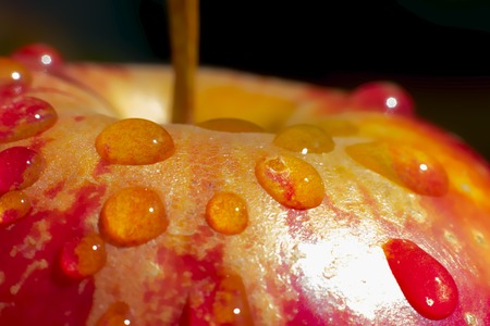 The red Apple closeup with water dropsの写真素材