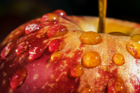 The red Apple closeup with water dropsの写真素材