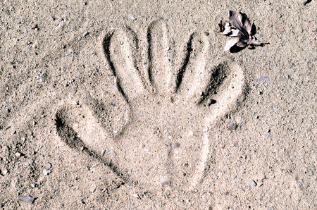 Imprint of a hand in the sandの写真素材