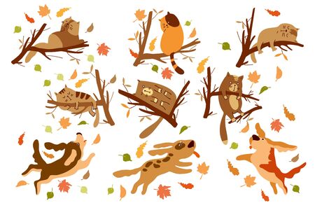 Set of cats and dogs. Cartoon style. Cats sleep on tree branches, dogs bark at cats, play, jump in the park. Brown - yellow color. vectorのイラスト素材