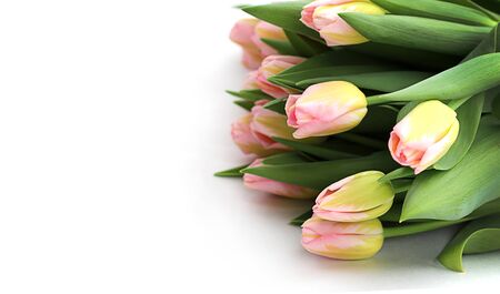 Colorful bouquet of pink tulips on a white background. Holiday celebration. Colorful celebration background. Bouquet as a gift. Mother's day, international women's day, anniversary. Copy spaceの写真素材