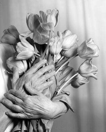 Hands of a senior woman holding flower bouquet. Idea of a mother's day greeting card, women's day or grandmothers day. Copy space for text. black-and-white photo. Older Persons Dayの写真素材