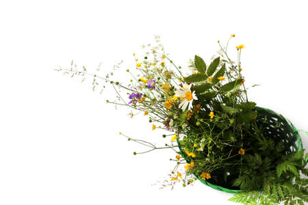 a beautiful bouquet of bright wild flowers in a green basket is isolated on a white background. Top view. Daisies, forest grasses, yellow wild flowers. Copy spaceの写真素材
