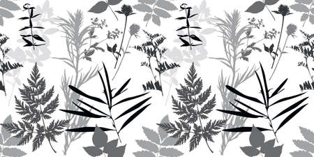 Vector herbal pattern. Seamless floral background for packaging, textiles, Wallpaper. Monochrome floral elements. White background. Hand-drawn vector illustrationのイラスト素材