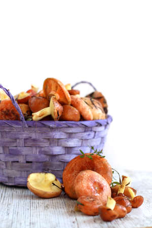 Fresh raw mushrooms . Autumn Mushrooms on a wooden rustic table. Forest mushrooms in a wicker basket on an isolated white background. Vertical formatの写真素材