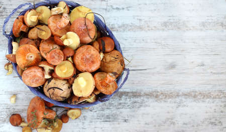 Fresh raw mushrooms . Autumn Mushrooms on a wooden rustic table. Forest mushrooms in a wicker basket on an isolated white background.の写真素材