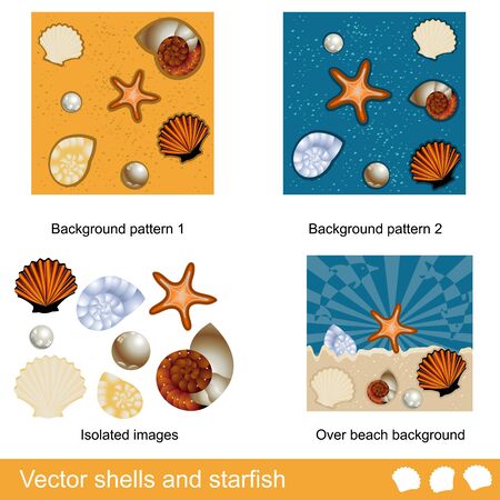 Different shells and starfish collection のイラスト素材