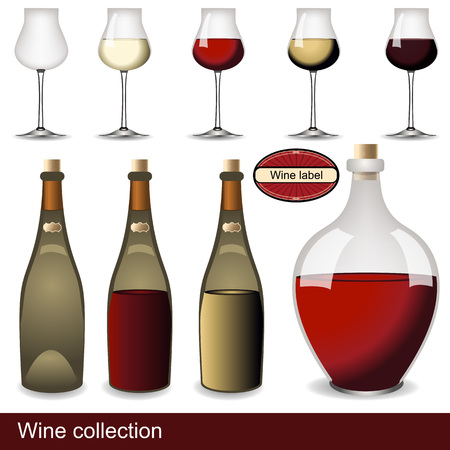 wine collectionのイラスト素材