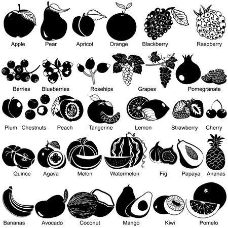 Set of different fruit iconsのイラスト素材