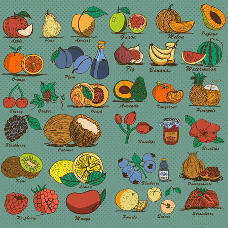 hand drawn colored fruitsのイラスト素材