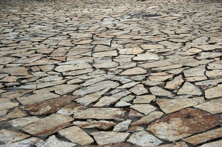 The ground in the village.の写真素材