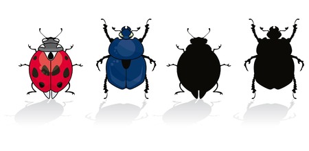 Ladybug and beetle isolated on white with his silhouetteのイラスト素材