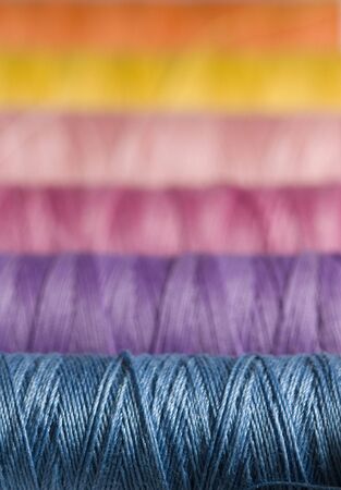 Set of five colorful sewing thread の写真素材