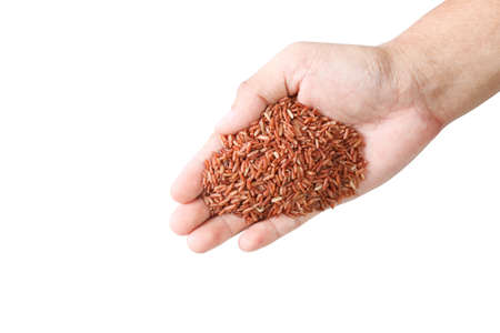 Red rice in hand isolated on white backgroundの写真素材