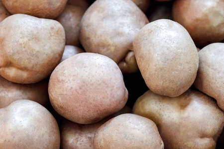 Top view of many raw fresh potatoes. Rural food and agriculture concept.