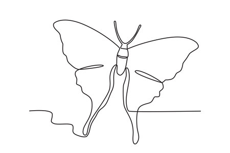 A high-flying butterfly. Butterfly one-line drawingのイラスト素材