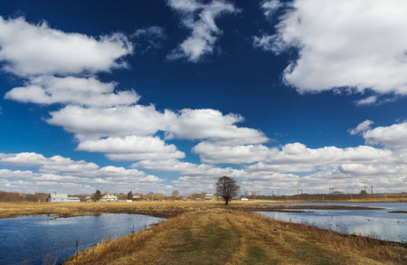 country road in summer field and clouds on blue sky