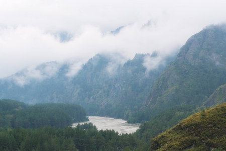 Beautiful view of mountain river in summer. Altai Mountainsの写真素材