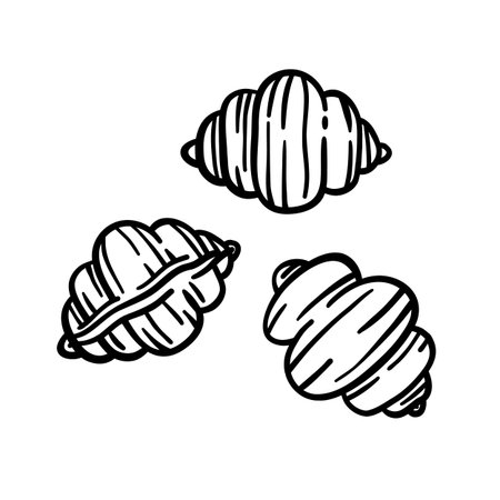 Conchiglie pasta outline icon in retro engraving style. Hand-drawn black ink vector of traditional Italian food. Isolated on white background. Perfect for menu or packaging.のイラスト素材