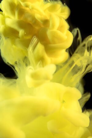 The colorful dye in the water. Abstract background. Wallpaper. Concept art. Photographyの写真素材