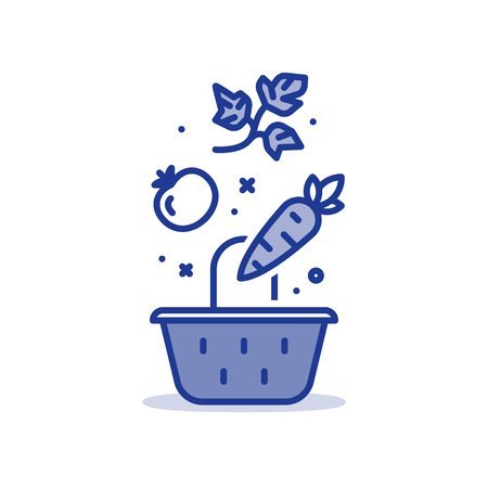 Grocery store basket with falling vegetables, fresh healthy food, vector line iconのイラスト素材