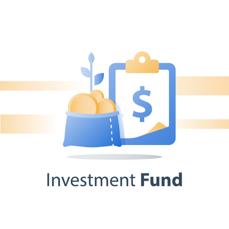Fast cash loan, quick easy money, invest fund solution, lucrative portfolio, secure finance investment, savings account, banking services, interest rate, vector iconのイラスト素材