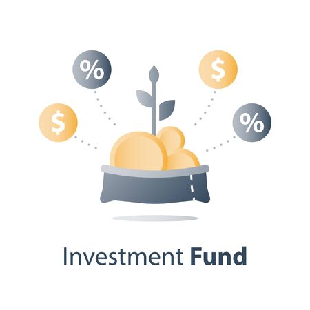 Mutual fund concept, financial portfolio, investment fund structure, consolidated finance, fund raising, pension savings account, budget plan, money growth, vector iconのイラスト素材