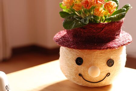 Flower interiorの写真素材