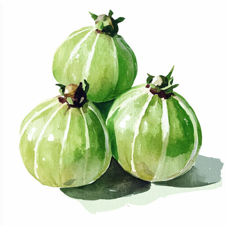 Watercolor illustration of a group of green gooseberry on a white backgroundのイラスト素材