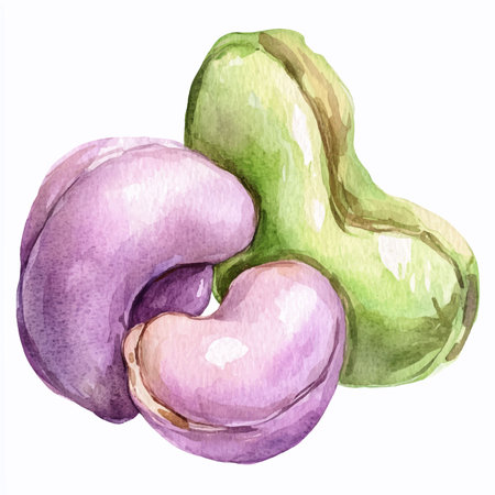 Watercolor set of beans. Isolated on a white background.のイラスト素材